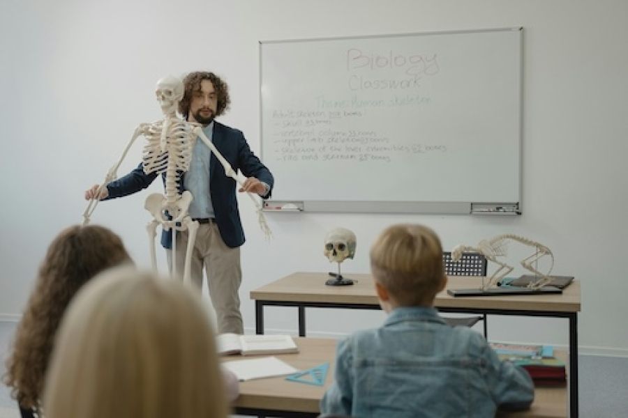 An elementary school biology teacher. 
